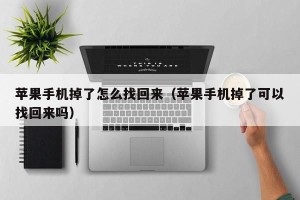 苹果手机掉了怎么找回来（苹果手机掉了可以找回来吗）