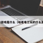 哈希游戏是什么（哈希电工玩的什么游戏）